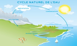 1 cycle naturel eau
